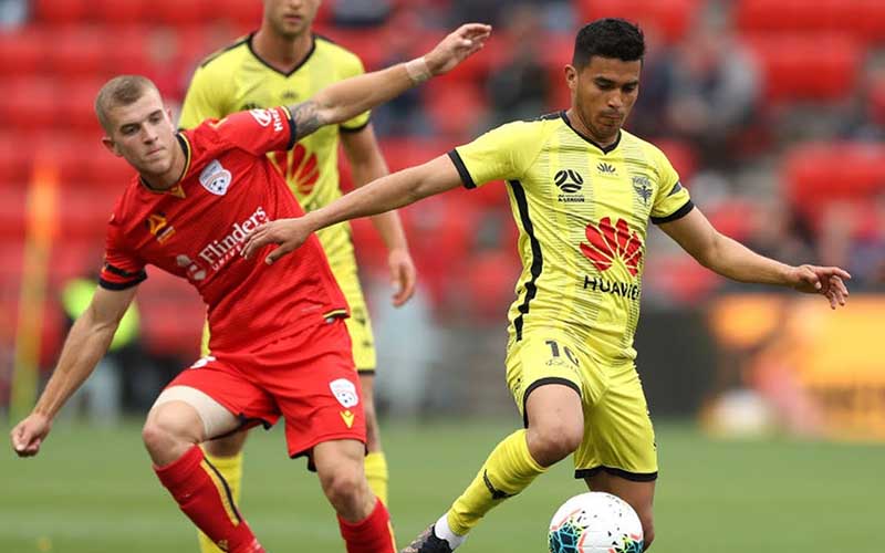 Soi kèo Adelaide vs Wellington